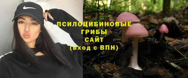 наркотики Гусев