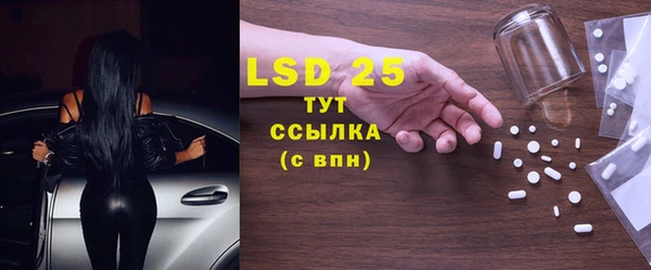 спайс Гусь-Хрустальный
