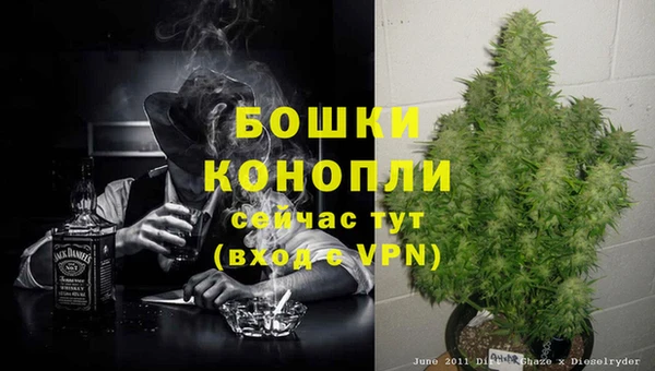 хмурый Протвино