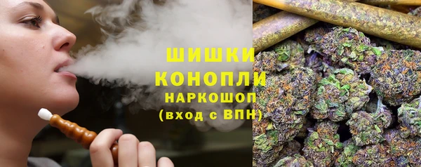 спайс Гусь-Хрустальный