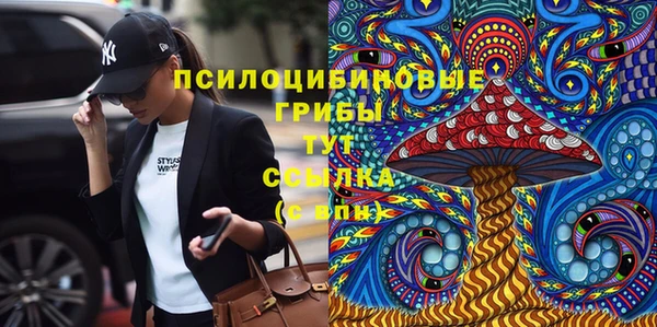 спайс Гусь-Хрустальный