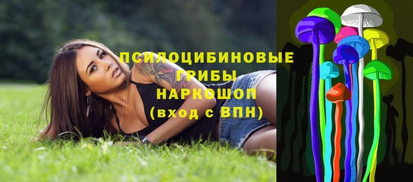 спайс Гусь-Хрустальный